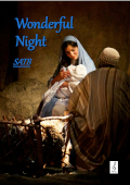 Wonderful Night cover